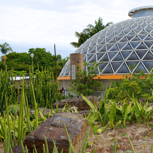 Jardines Botánicos de Brisbane